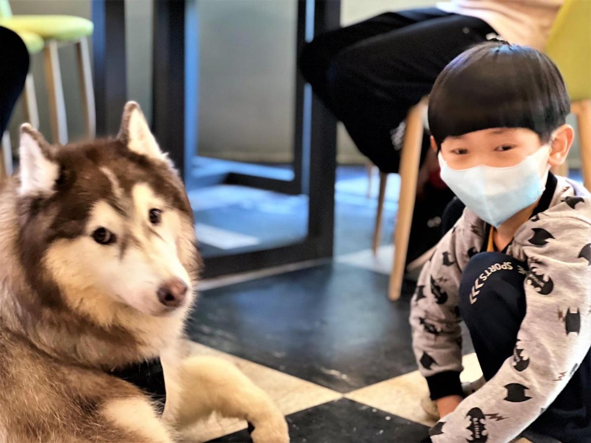 蓝色猫头鹰民宿 花莲市 外观 照片